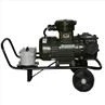 vane pump